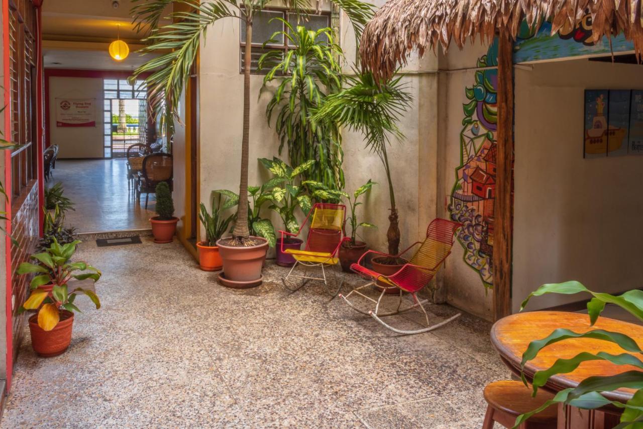 Flying Dog Hostel Iquitos Exterior foto